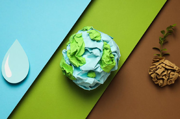 Best Way to Do Eco and Agriculture